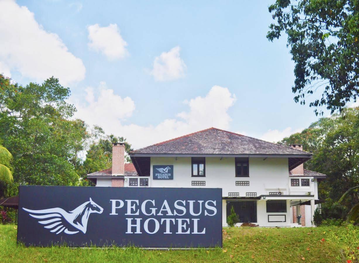 Oyo 104 Pegasus Hotel シンガポール エクステリア 写真